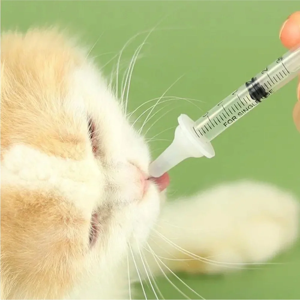 Bottle Nurture Feeding Kit for Small Baby Animals like Kittens & Squirrels